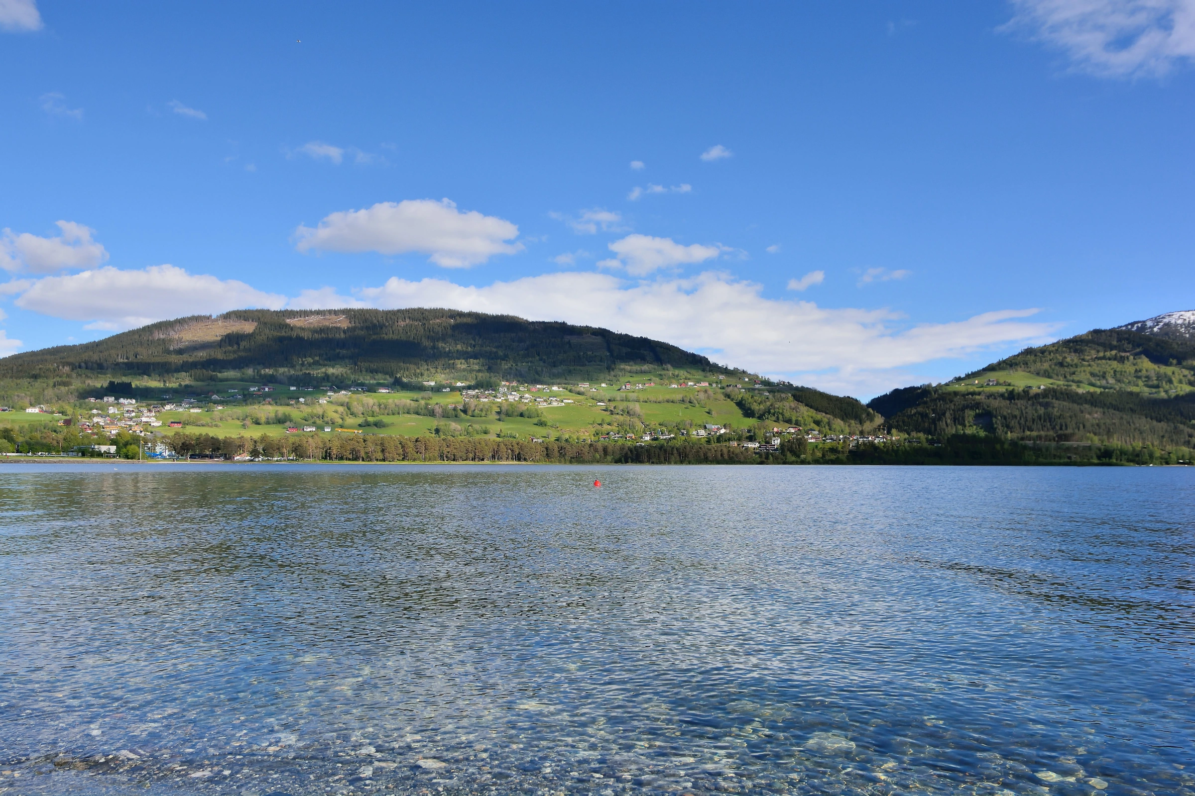 Voss[1].webp